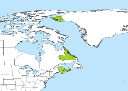 ADT Time Zone Geo Map