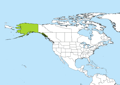 AKDT Time Zone Geo Map