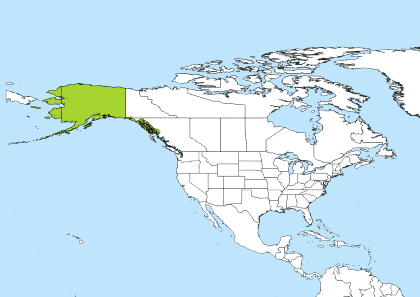 AKST Time Zone Geo Map