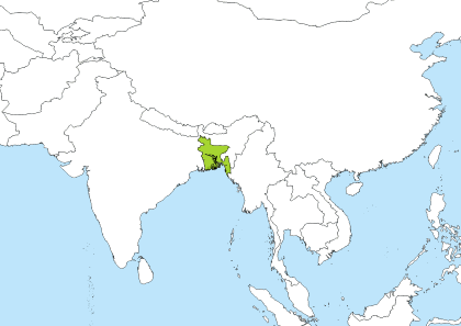 BDT Time Zone Geo Map