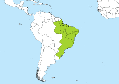 BRT Time Zone Geo Map