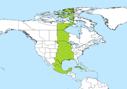 CDT Time Zone Geo Map