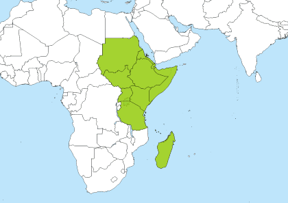 EAT Time Zone Geo Map