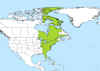 EDT Time Zone Geo Map