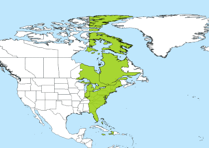 EST Time Zone Geo Map