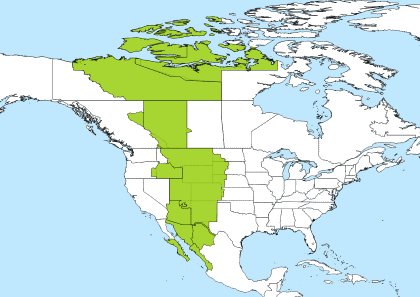 MST Time Zone Geo Map