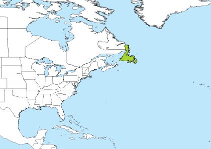 NST Time Zone Geo Map