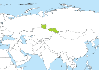 OMST Time Zone Geo Map