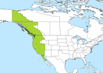 PST Time Zone Geo Map